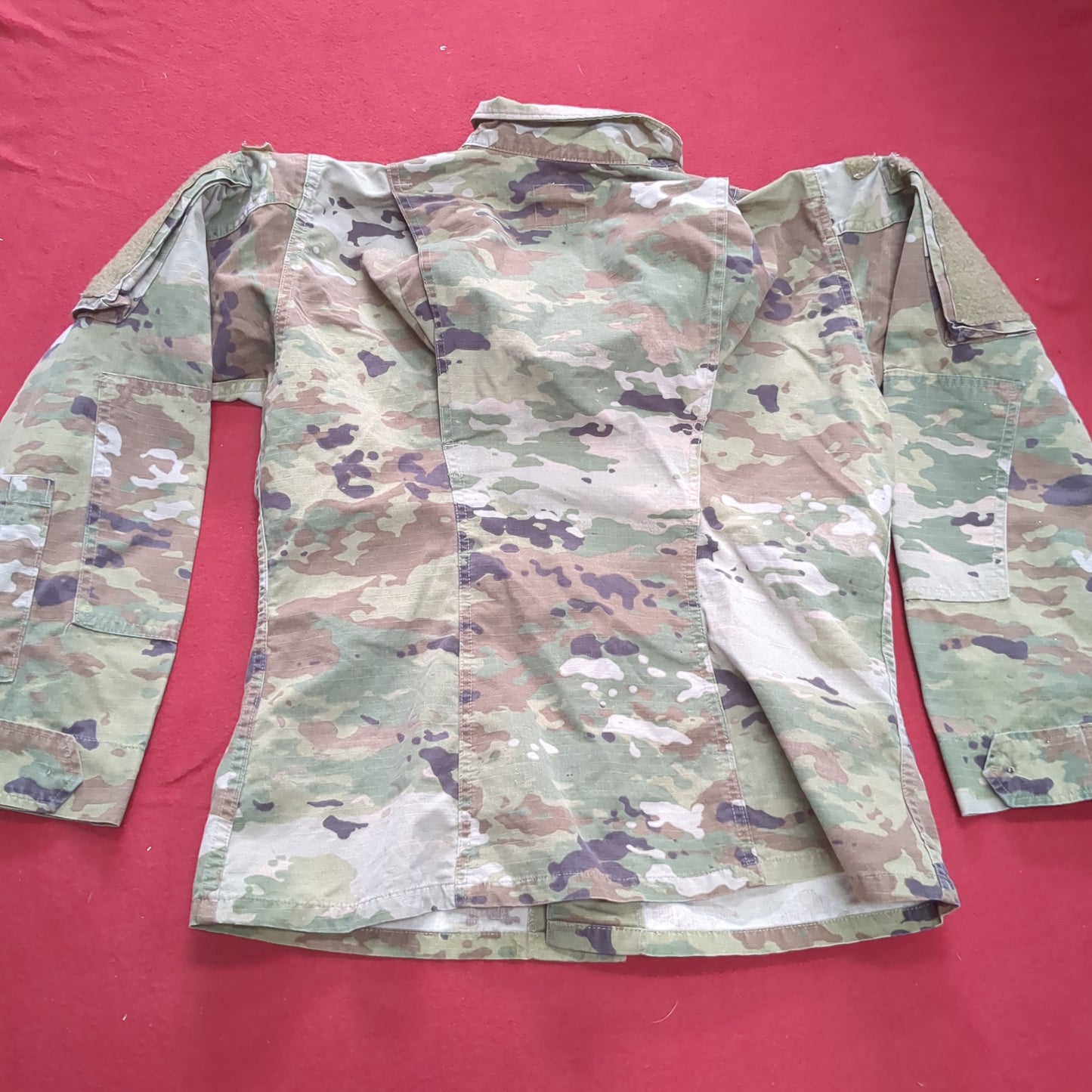 US Army Female 33 Short Traditional OCP Uniform Pant Air Force Used (OCP10- ea06-JUL134)