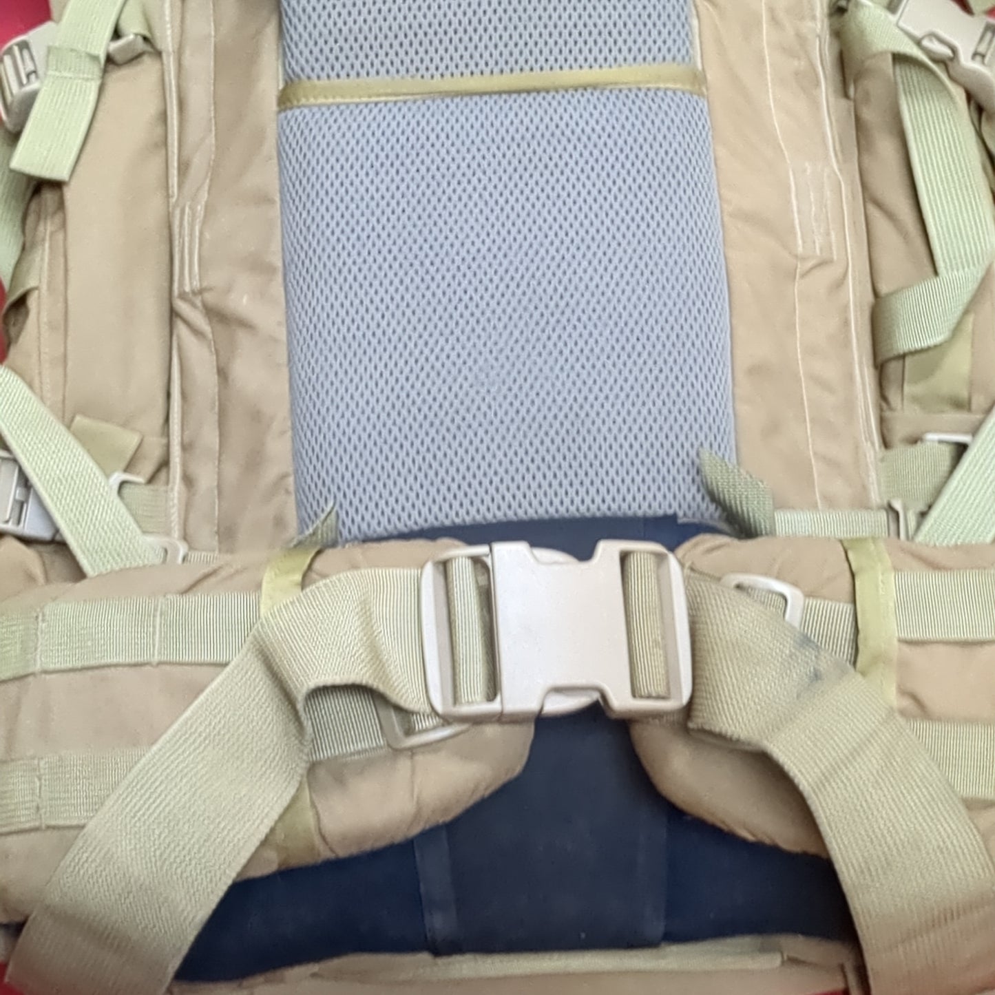 Mystery Ranch Kodiak Pack w/ Medium Waist Belt (GTT-NOV259)