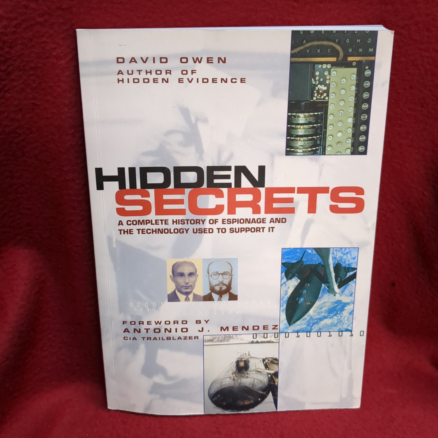 BOOK   - HIDDEN SECRETS  (BOX44)