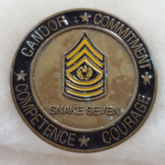 1st Squadron 16th Calvary Snake Seven Challenge Coin (jw05)