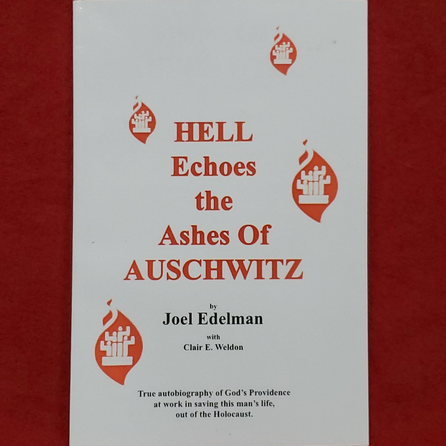 "hell echoes the ashes of auschwitz" by edelman & weldon - 2015 (sept)