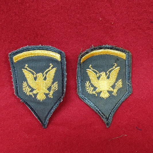 1 SET VINTAGE Women's Dress Uniform GOLDEN EAGLE SERGEANT Dress Green Sew On (06CR10)