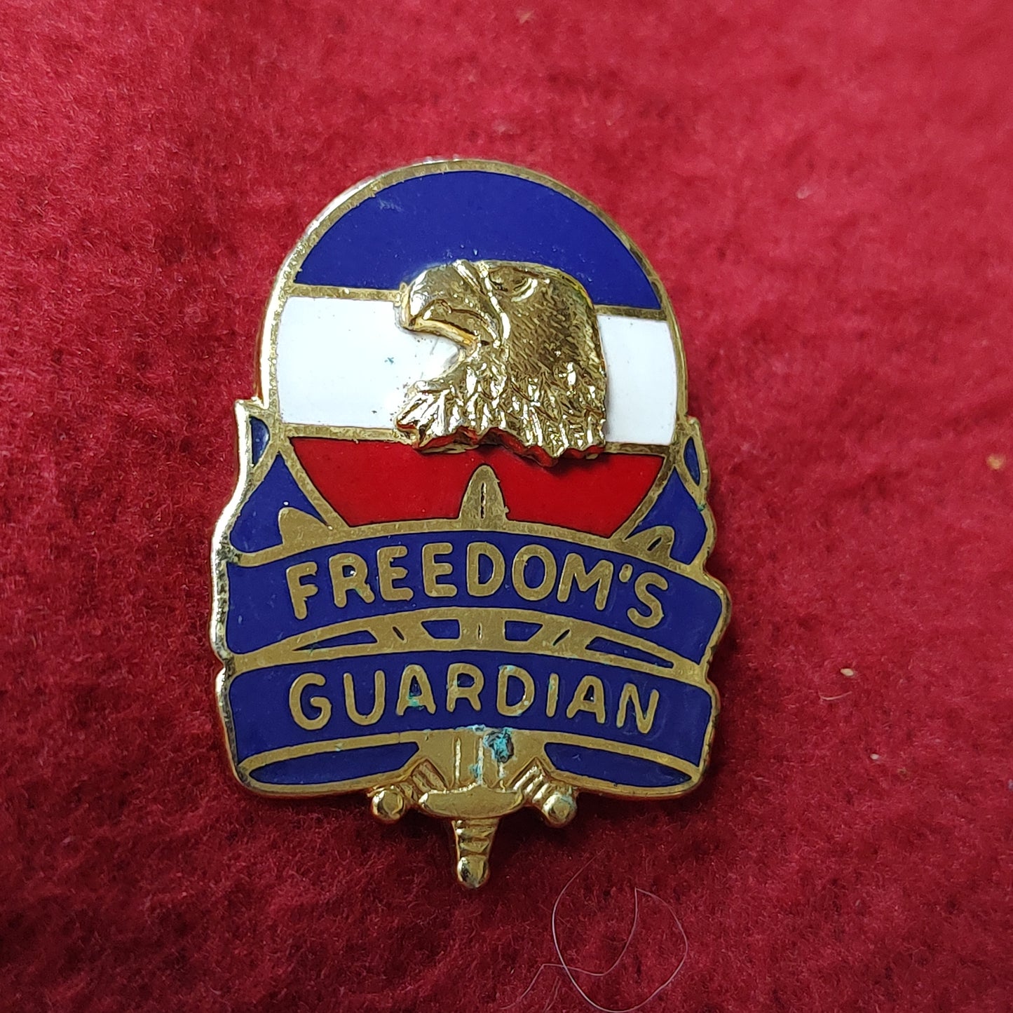 VINTAGE US Army FORSCOM FREEDOMS GUARDIAN UNIT Badge Pin (19CR38)